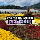 거제시농업개발원 | [거제 섬꽃축제] 2025가을축제 거제식물원 주말 후기(핑크뮬리/국화축제)&amp;방문꿀팁