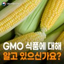 대해식품 네이버블로그