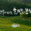 씨유보성회천점 이미지
