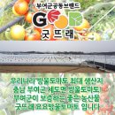 [굿뜨래] 요요방울토마토~ 이미지