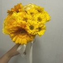 뮤엘 | 광진구 중곡동꽃집 추천 뮤엘플라워 내돈내산후기 24시간 무인픽업