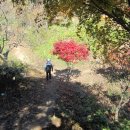 절고개공원 이미지