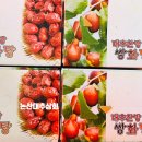 논산대추상회