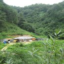 운산농원 이미지