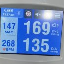 행선로10 | 동두천 고양이 중성화 후기 – 검사·수술·비용까지 한눈에!