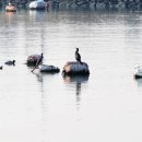 수능엄사 옆 이미지