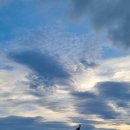 고비올 농장 | 1년 묵힌 몽골 여행기🇲🇳