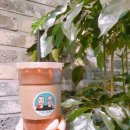 천지당약국 이미지