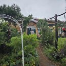 풀빛향기송정마을 | 풀빛향기 송정마을 비누 만들기 체험