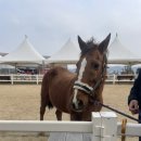 재훈목장 이미지