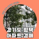엘지덕동 | [경기도 경매] 평택 대표호재 3가지 + 1억대 30평대 평택LG덕동아파트 임장 후기