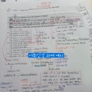 도안과외