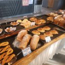 오라힐스 이미지