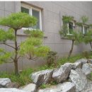 안양-안양-안양-511 이미지