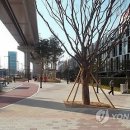 명품가로공원 이미지