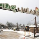 이화원 이미지