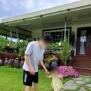 브리지데이 이미지