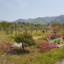 연산면 덕바위농촌체험휴양마을 이미지