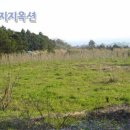 하예동-11 Daum카페