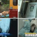 수배농장 뉴스웨이브