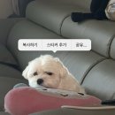 배못경로당 네이버블로그