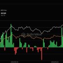 7월 첫주 비트코인 현물 ETF 순유입 출발...12거래일 연속 이미지