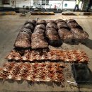 동해-단속-21 이미지