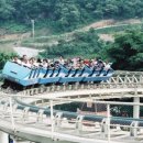 자연농원 Daum카페