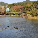 민주전기조명