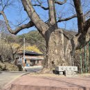 계척경로당 이미지