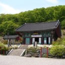 안국사 이미지