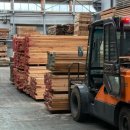 오크포레스트 이미지