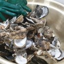 장은수산 이미지