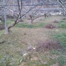 선아농장 이미지