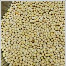 (주)청국 이미지