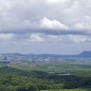 도라산농장 이미지