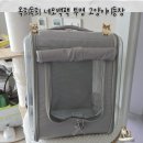 네모강아지 | 옥희독희 네모 백팩 투명 고양이 이동장 내돈내산 구입 후기