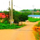 서울별장펜션민박 이미지