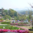 용인봄꽃축제, 태안군 천리포 수목원 연찬교육 사진 이미지
