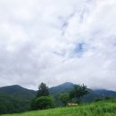 영월 호밀밭(구 청보리밭) 후기｜7월 방문, 호밀 수확 후에도 풍경이 아름다웠던 영월 숨은 명소