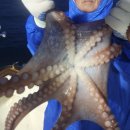 수산물직판장(17호) 이미지