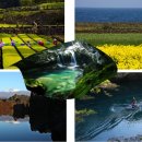 서호초등학교 병설유치원 이미지