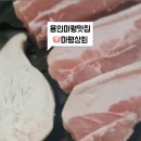 마평상회