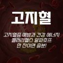 한잔호프 티스토리