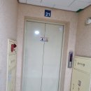 주식회사 파인트리