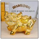 (주)퍼스트 더원 이미지