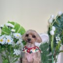 양덕동275 이미지