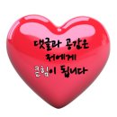 두식농원 | 2024년 강원도 평창고랭지 절임배추 마지막 물량 할인판매 /한정판매 서두르세요