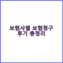 프로미자주카 | 🔵 보험사별 보험청구 후기 총정리