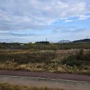 복하천 수변1공원 이미지